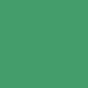 AUSTIN FC - Coaches Players Shirt - ATX - Green