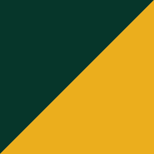 Tubular Socks - Green/Gold