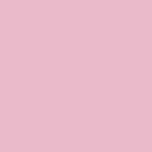 INTER MIAMI CF - Coaches Players Shirt - Herons - Pink
