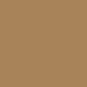 Short Sleeve Corduroy Pearl Snap - Camel