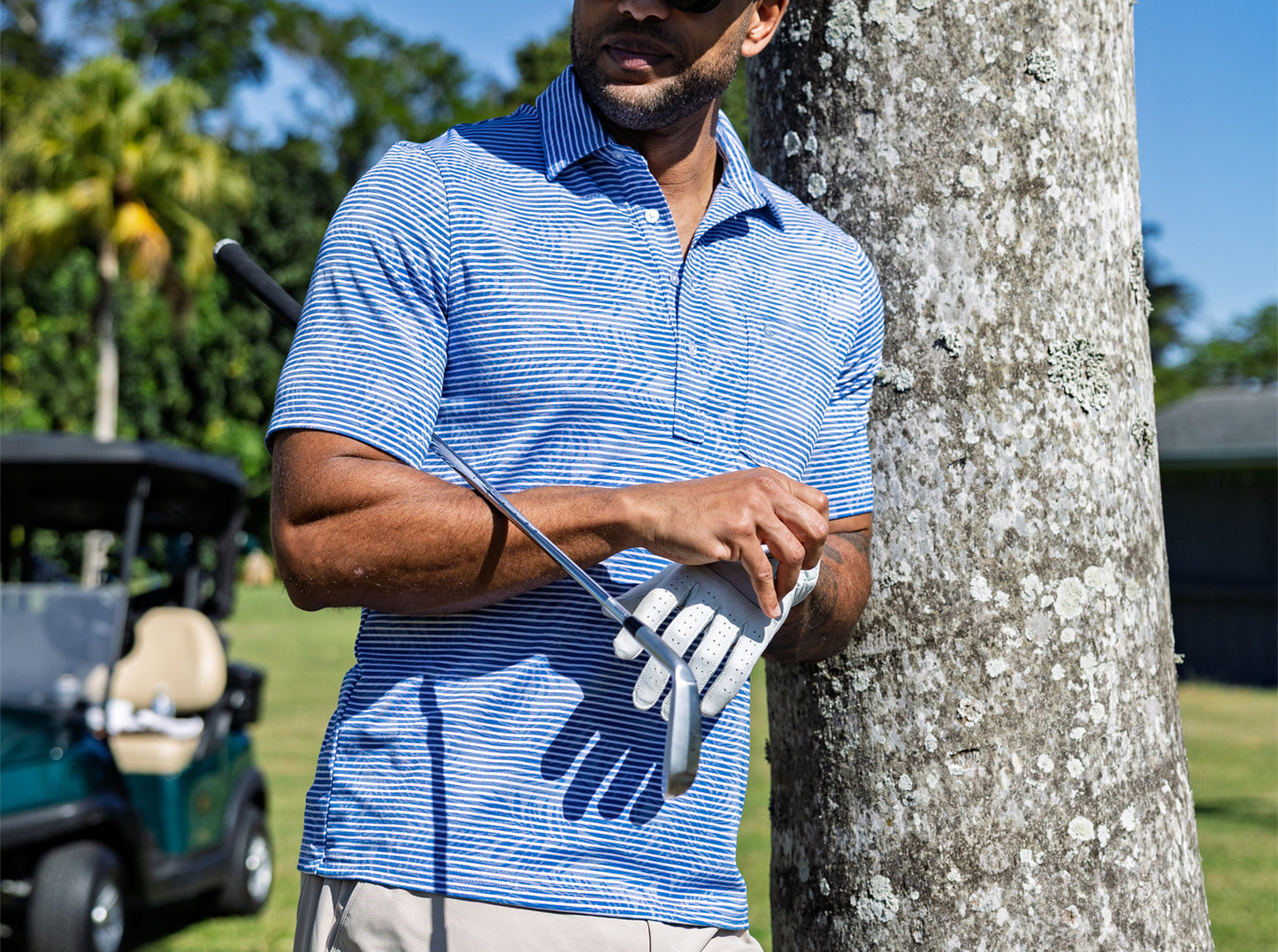 Jacquard Palm Stripe Polo - Ocean