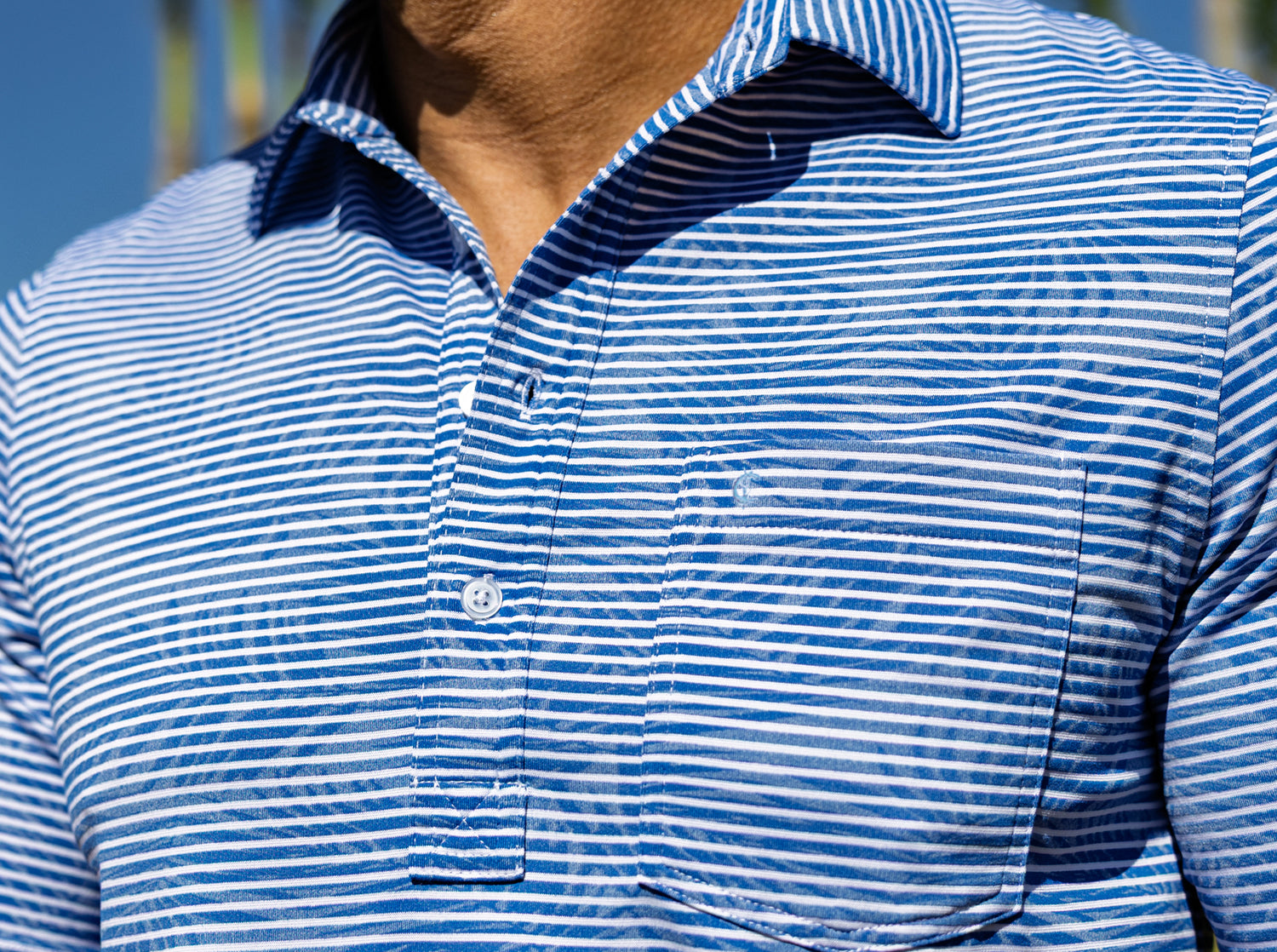 Jacquard Palm Stripe Polo Ocean