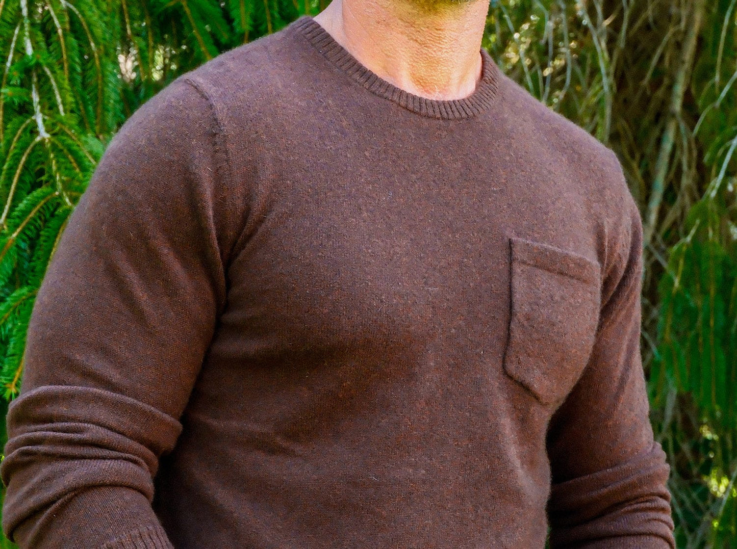 Legacy Cashmere Pocket Crew - Espresso