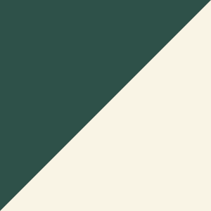 Lightweight Flannel Pearl Snap - Storm Check