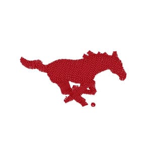 Southern Methodist University