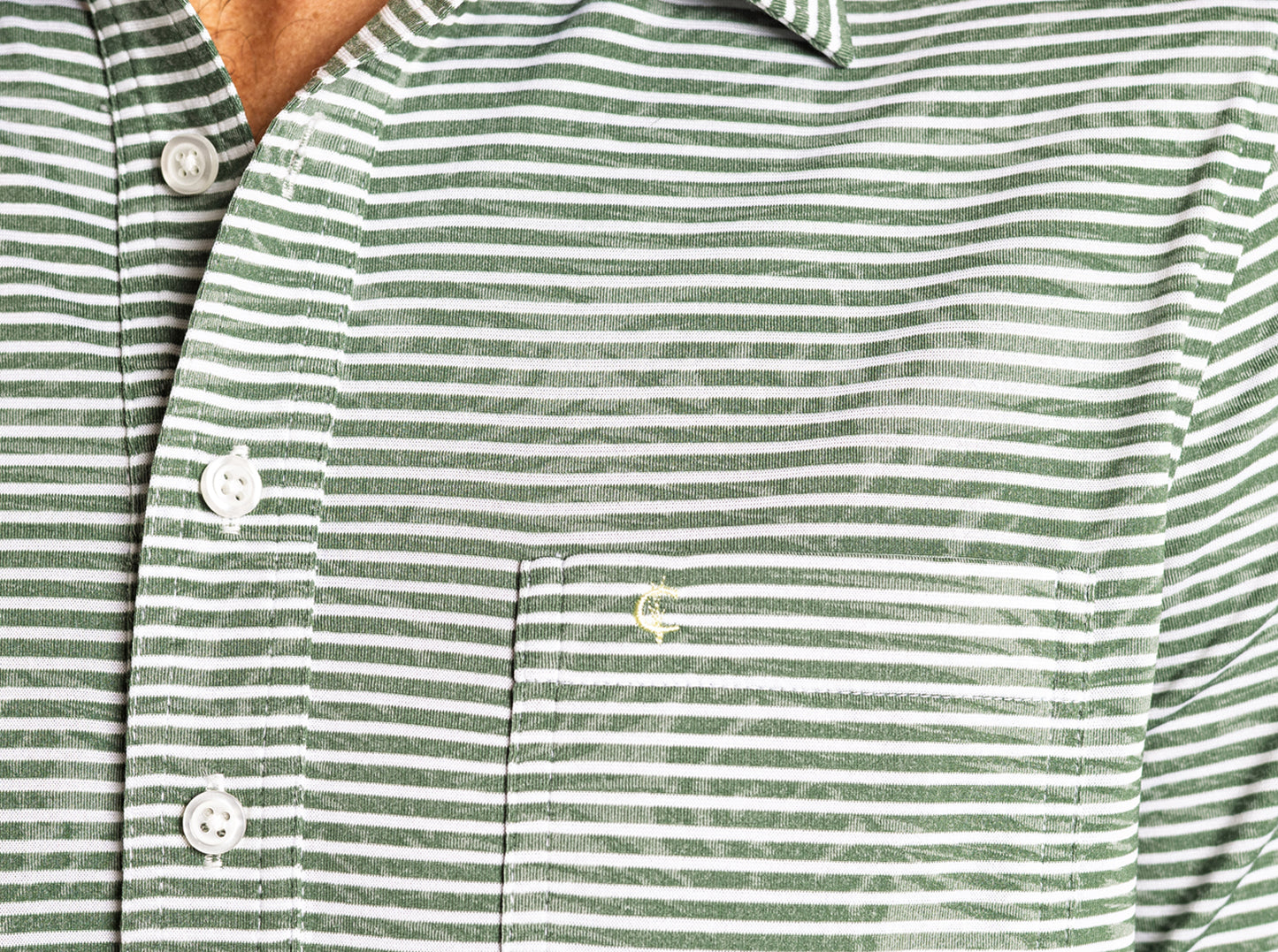 Jacquard Palm Stripe Polo - Olive