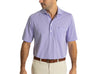 Spread Collar Polo - Hobby Stripe - Lavender